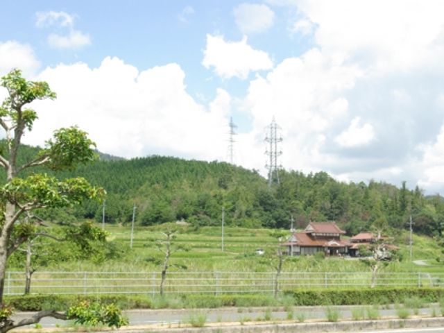 緑に囲まれた庭 庭 豊かな自然に囲まれた庭は、リラックスできる環境です。自然光を浴びてのんびりと過ごせます。