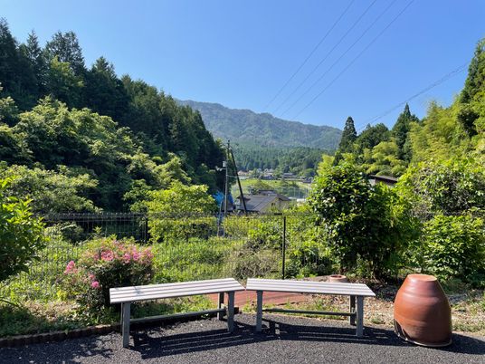 山と緑の景色の中庭