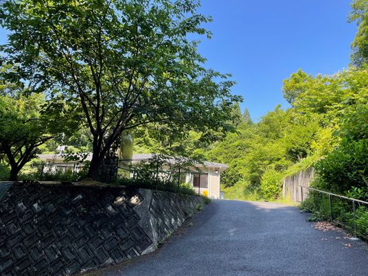 緑に囲まれた施設外観