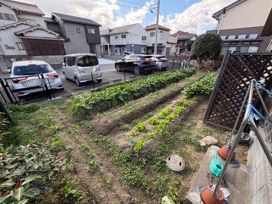 小さな庭の畑