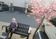 満開の桜とベンチの外観