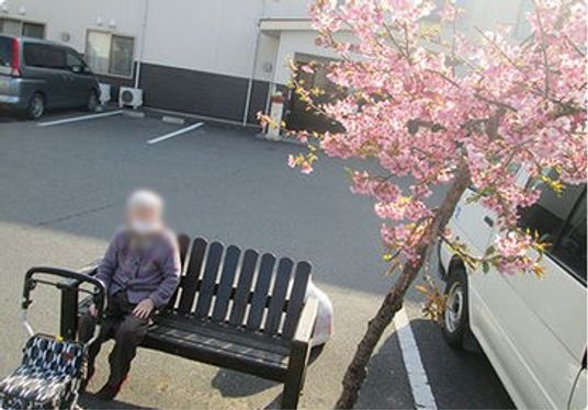 満開の桜とベンチの外観