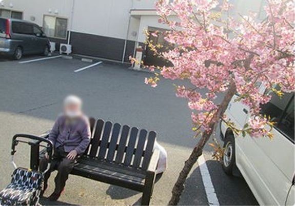 満開の桜とベンチの外観
