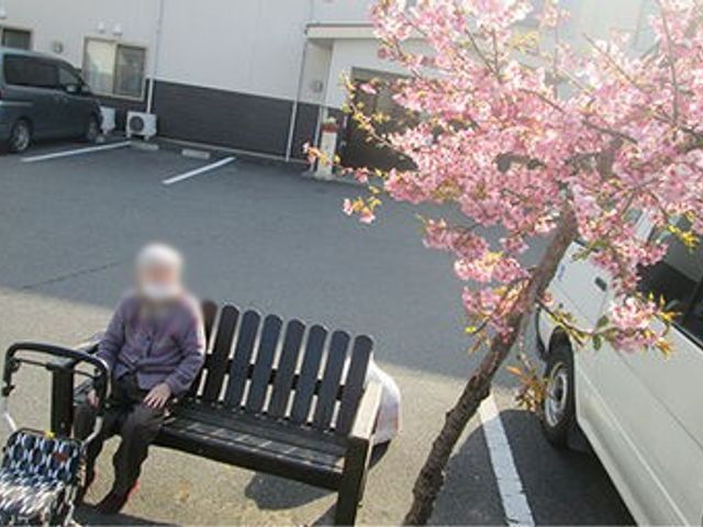 満開の桜とベンチの外観 外観 利用者の方が桜の木の下でゆったりと休まれています。落ち着いた時間を過ごせる環境です。