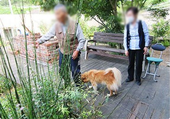 緑豊かな庭
