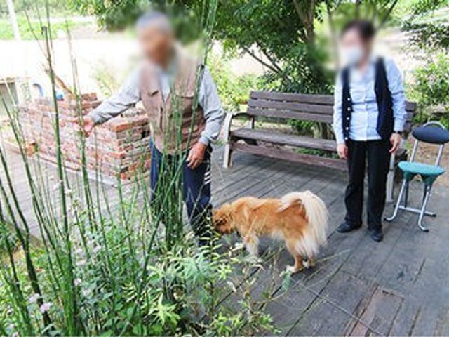緑豊かな庭 庭 自然に囲まれたスペースで、利用者がリラックスして過ごせる工夫が施されています。