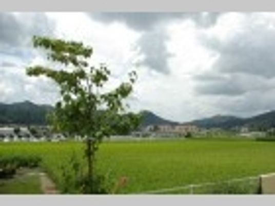 緑豊かな外観