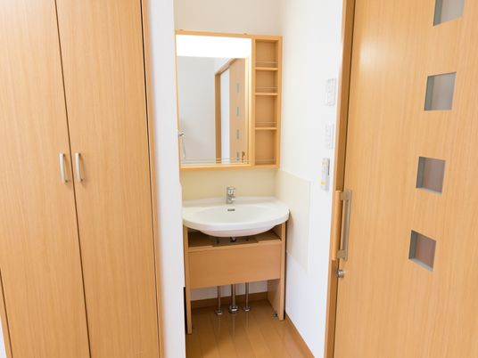 清潔な洗面台が設置された部屋