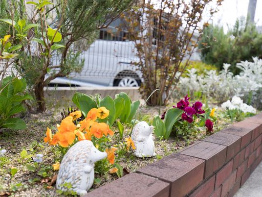 中庭の花と小物