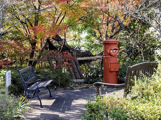 紅葉する中庭の景色