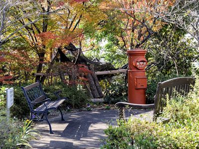 紅葉する中庭の景色