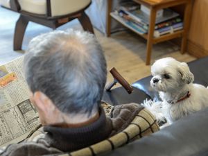 老人と犬のリビングシーン