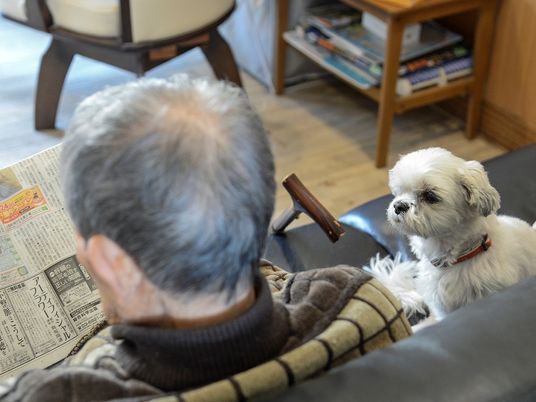 老人と犬のリビングシーン