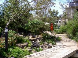 緑豊かな中庭風景