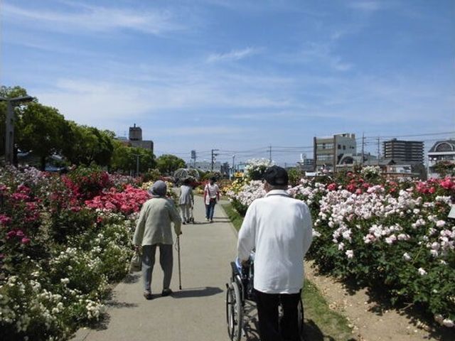 花が咲き誇る中庭 外出 季節の花々が彩る広々とした中庭です。散策や憩いの場として、訪れる方々の心を和ませています。