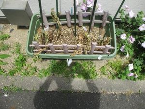 花壇のある庭  