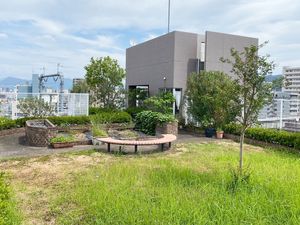 屋上の庭園  