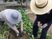 野菜を植える庭
