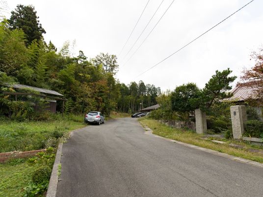 緑に囲まれた道と建物