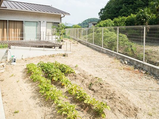 庭の菜園と建物  