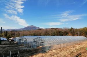 山の景色とビニールハウス  