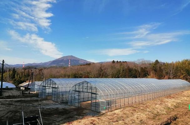 山の景色とビニールハウス  