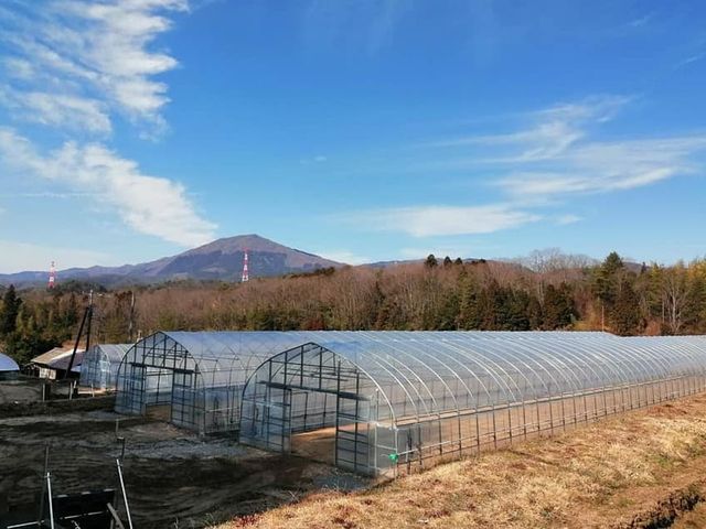山の景色とビニールハウス 庭   自然に囲まれた開放的な空間です。山が近く、リラックスした雰囲気を楽しめます。