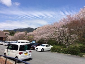 医療法人社団住吉医院の外観