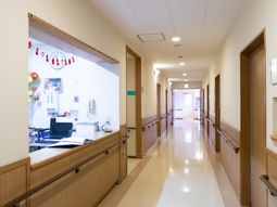 明るい廊下と掲示物