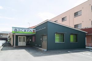 緑の壁の明るい建物