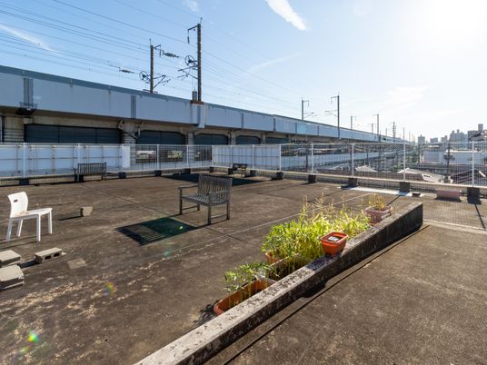 屋上庭園の風景