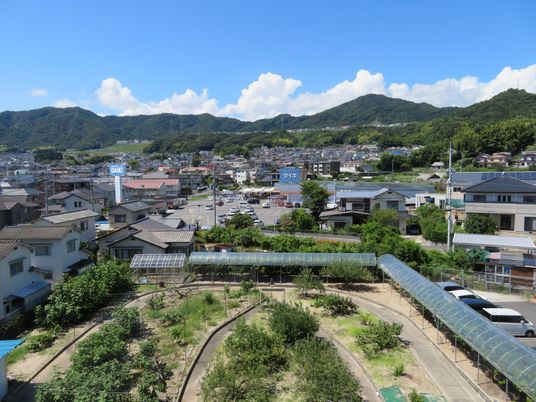 青々とした山の眺望