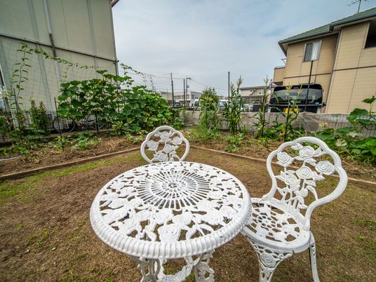 庭に設置されたホワイトチェア