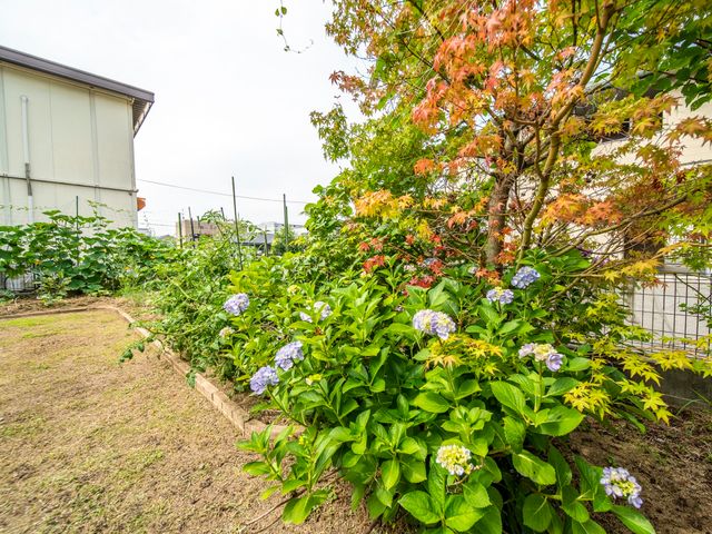 緑豊かな施設の庭 庭 四季折々の花々が咲き誇る、ゆとりを感じさせる庭です。屋外での憩いの時間を過ごせる落ち着いた環境が整っています。