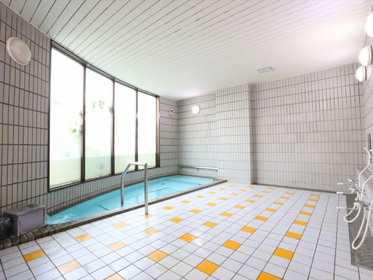 浴場には大きな浴槽があり、しっかりとした手すりが取り付けられている。床は白とオレンジのタイル張りになっている。