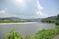 川と緑の景色