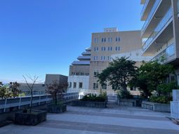 中庭の明るい景色