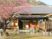 桜のある外観  