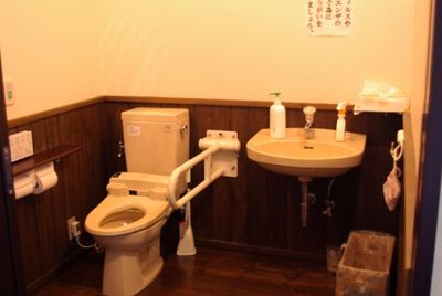 杖や手すりが設置されたトイレ