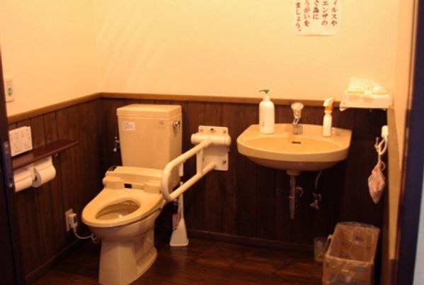杖や手すりが設置されたトイレ