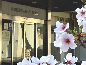 桜越しの施設入口  