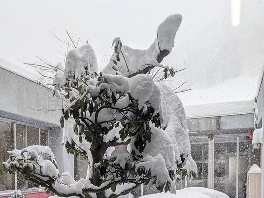 雪に覆われた中庭です  