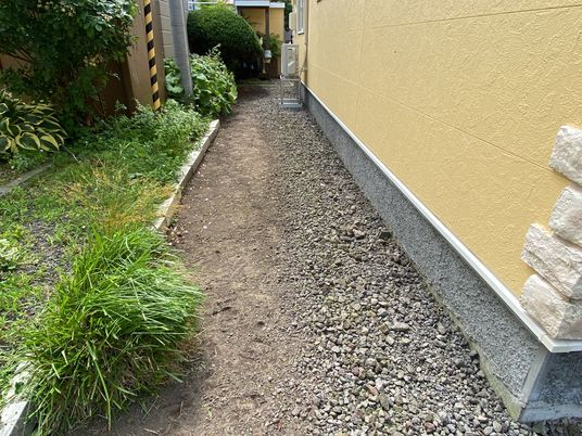 緑に囲まれた細い通路  