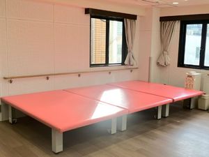 ピンクの訓練用マット機能訓練室  