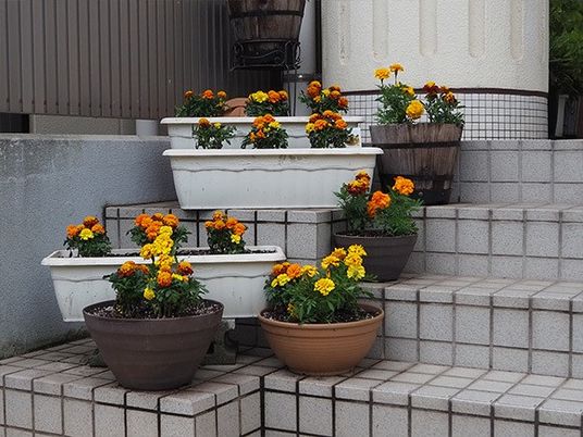 花壇のある外階段  