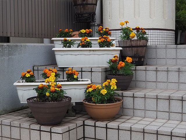 花壇のある外階段  