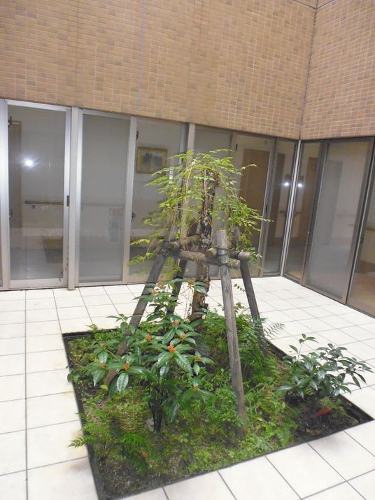 緑あふれる中庭スペース