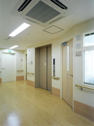 きれいな廊下とエレベーター