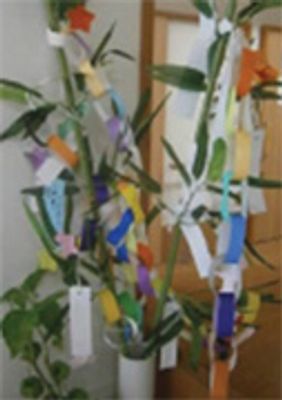 願い事が吊るされた笹