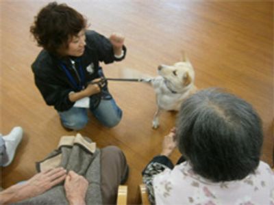 犬とのふれあいの様子